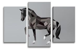 Sablio Obraz - 3-dílný Kôň - 75x50 cm