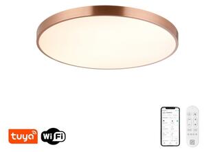 Immax NEO 07323L-LED stmievateľné stropné svietidlo SEMPLICI 96W/230V priemer 80 cm Wi-Fi Tuya rosé + diaľkové ovládanie