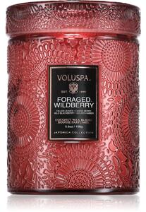 VOLUSPA Japonica Foraged Wildberry vonná sviečka 156 g
