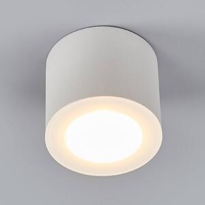 Helestra Oso LED svietidlo okrúhle biele matné