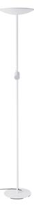 Eglo 901978 - Stmievateľná stojacia LED lampa CONIVARINO LED/26,5W/230V +LED/4W biela