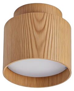 BRILAGI - LED bodové svietidlo BACKLIT 1xGX53/15W/230V+LED/3W pr. 8 cm dek. duba