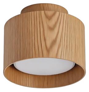 BRILAGI - LED bodové svietidlo BACKLIT 1xGX53/15W/230V+LED/3W pr. 10 cm dubový dekor