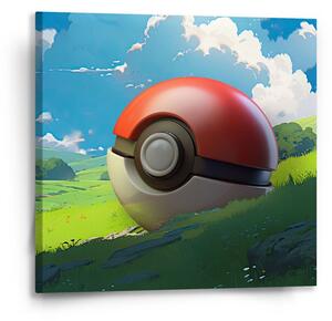Sablio Obraz Pokemon ball Krajina - 50x50 cm