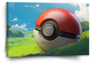 Sablio Obraz Pokemon ball Krajina - 60x40 cm