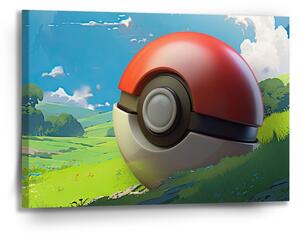 Sablio Obraz Pokemon ball Krajina - 90x60 cm