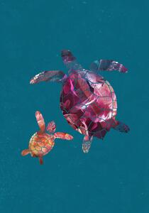 Ilustrácia Colourful Turtles, Sarah Manovski