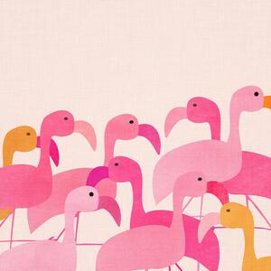 Ilustrácia Flamingos, Kristian Gallagher