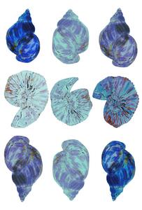 Ilustrácia Blue Sea Shells, Poster cartissi