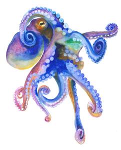 Ilustrácia Blue Marine Octopuss, Isabelle Brent