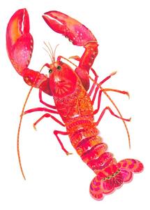 Ilustrácia Patterned Lobster, Isabelle Brent