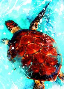 Ilustrácia Tortoise animal art, Justyna Jaszke