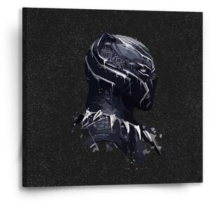 Sablio Obraz BLACK PANTHER z profilu Vesmír - 50x50 cm
