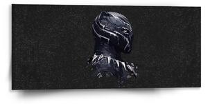 Sablio Obraz BLACK PANTHER z profilu Vesmír - 110x50 cm