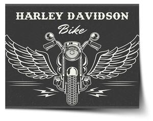 Sablio Plagát Harley-Davidson S krídlami - 60x40 cm