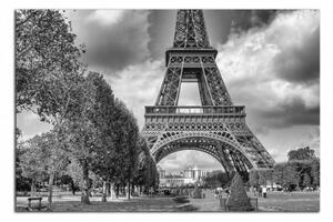 Čiernobiely obraz na stenu Eiffelovka a park