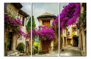 Moderný obraz Provence