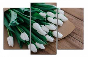 Obraz do bytu Biele tulipány