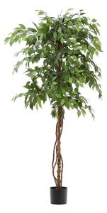 Umelý fikus (výška 180 cm) Ficus – Kave Home