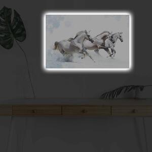Wallity Obraz s LED osvetlením DIVOCIE KONE 38 45 x 70 cm