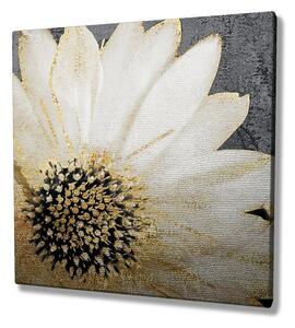 Wallity Obraz na plátne Whispering flower KC165 45x45 cm