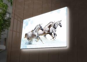 Wallity Obraz s LED osvetlením DIVOCIE KONE 38 45 x 70 cm