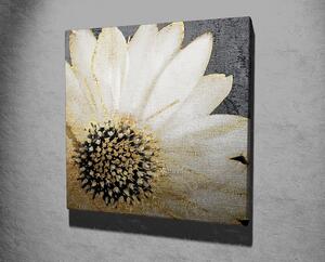 Wallity Obraz na plátne Whispering flower KC165 45x45 cm