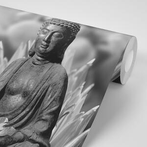 Fototapeta pokojný čiernobiely Budha