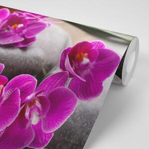 Fototapeta nádherná orchidea a Zen kamene