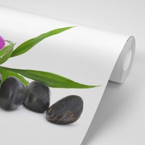 Tapeta fialová orchidea v Zen zátiší