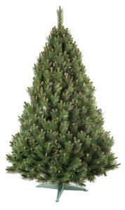 Vianočný stromček Aga BOROVICE 160 cm