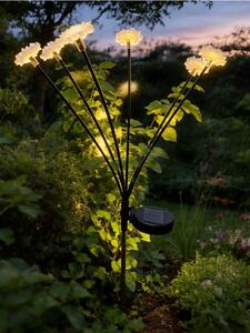 Sinsay - Solárna LED lampa v tvare kvetu - biela