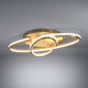 Stropné LED svetlo Stars of Light Bogado, zlaté, 75 cm, stmievateľné, Mosadz / zlato, Obývacia izba / jedáleň, kov, Moderný, Stropné svetlo polkruhové s priestorom