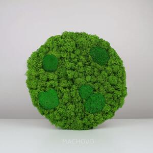 Machový obraz - kruh - kopcovitý s lišajníkom