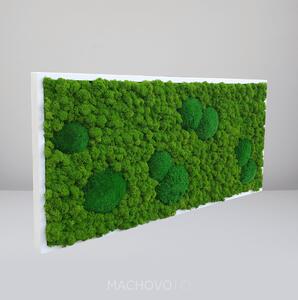 Machový obraz - obdĺžnik - kopcovitý s lišajníkom