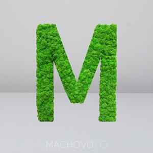 Machový obraz - písmená