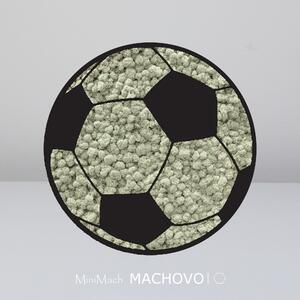 Machový obraz - FUTBALOVÁ LOPTA