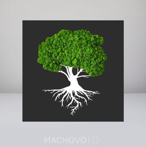 Machový obraz - strom s koreňmi biely s podkladom