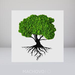 Machový obraz - strom s koreňmi čierny s podkladom