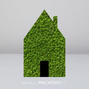Machový obraz - DOMČEK