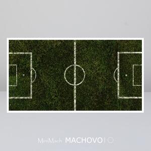 Machový obraz - FUTBALOVÉ IHRISKO