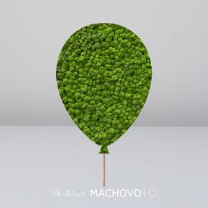 Machový obraz - BALÓN