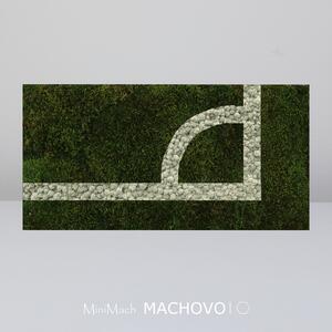 Machový obraz - FUTBALOVÉ IHRISKO- roh