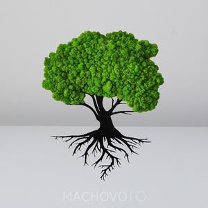 Machový obraz - strom s koreňmi