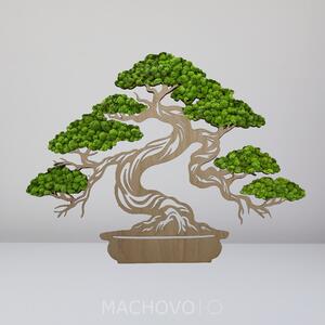Machový obraz - strom bonsaj - svetlé drevo