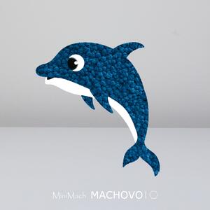 Machový obraz - DELFÍN