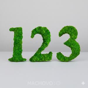 Machový obraz - čísla z machu