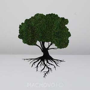 Machový obraz - strom s koreňmi mach plochý