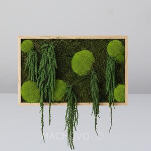 Machový obraz - obdĺžnik- rastlinný Amaranthus