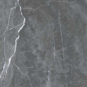 Armani Grey 60x60 R